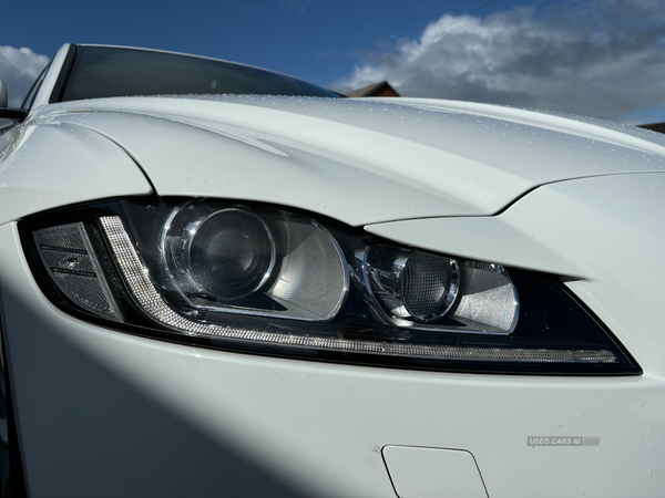 Jaguar XF DIESEL SALOON in Down