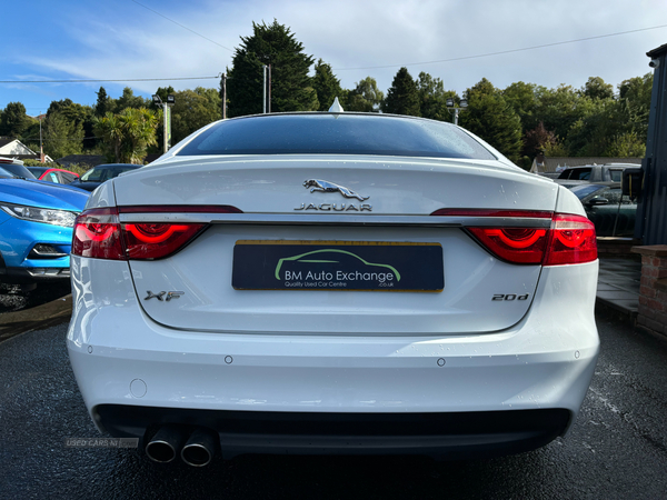 Jaguar XF DIESEL SALOON in Down