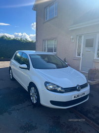 Volkswagen Golf DIESEL HATCHBACK in Tyrone