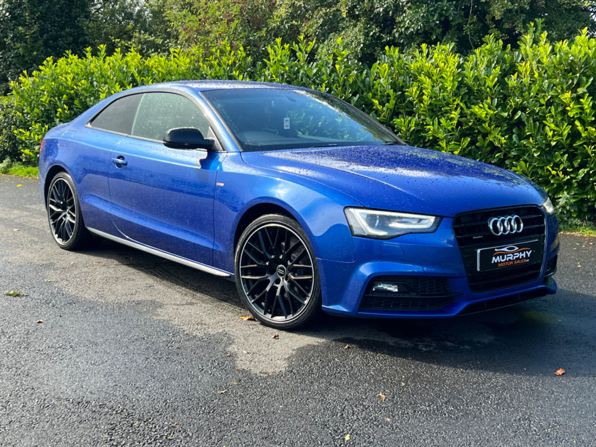 Audi A5 COUPE SPECIAL EDITIONS in Down