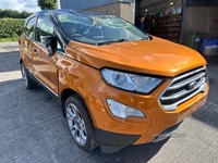 Ford EcoSport 1.0i TITANIUM in Down