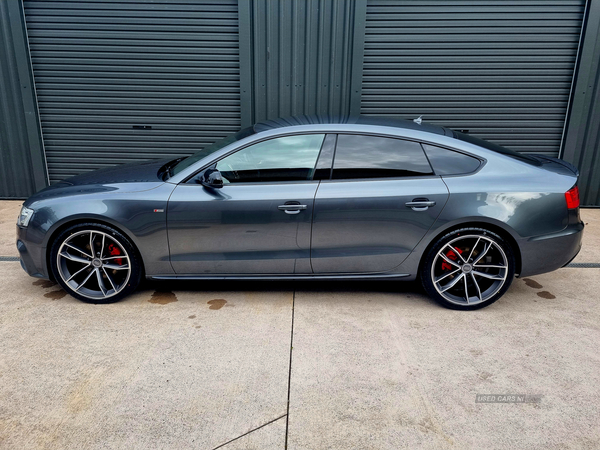 Audi A5 SPORTBACK SPECIAL EDITIONS in Tyrone