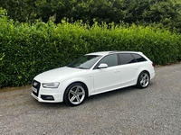 Audi A4 2.0 TDI 177 S Line 5dr Multitronic in Tyrone