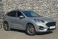 Ford Kuga 2.0 EcoBlue 190 ST-Line Edition 5dr Auto AWD (0 PS) in Fermanagh