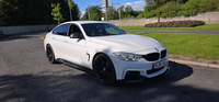 BMW 4 Series 420d [190] M Sport 5dr [Professional Media] in Down