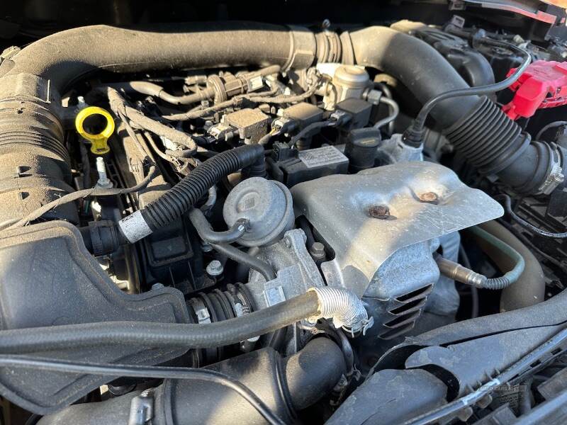 2019 Ford Fiesta 1.0i ST-LINE TURBO ACTIVE 5dr