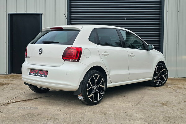 Volkswagen Polo HATCHBACK in Tyrone