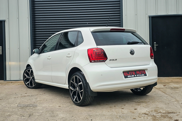 Volkswagen Polo HATCHBACK in Tyrone