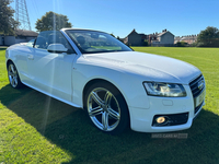 Audi A5 CONVERTIBLE TFSI 160 COUPE in Antrim