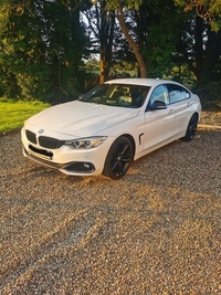 BMW 4 Series 420d [190] xDrive Sport 5dr Auto [Business Media] in Tyrone