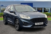 Ford Kuga ST-LINE X EDITION MHEV 5DR - NI REG, PANORAMIC SUNROOF, FRONT & REAR HEATED SEATS, KEYLESS GO, REVERSING CAMERA, B&O PREMIUM AUDIO and more in Antrim