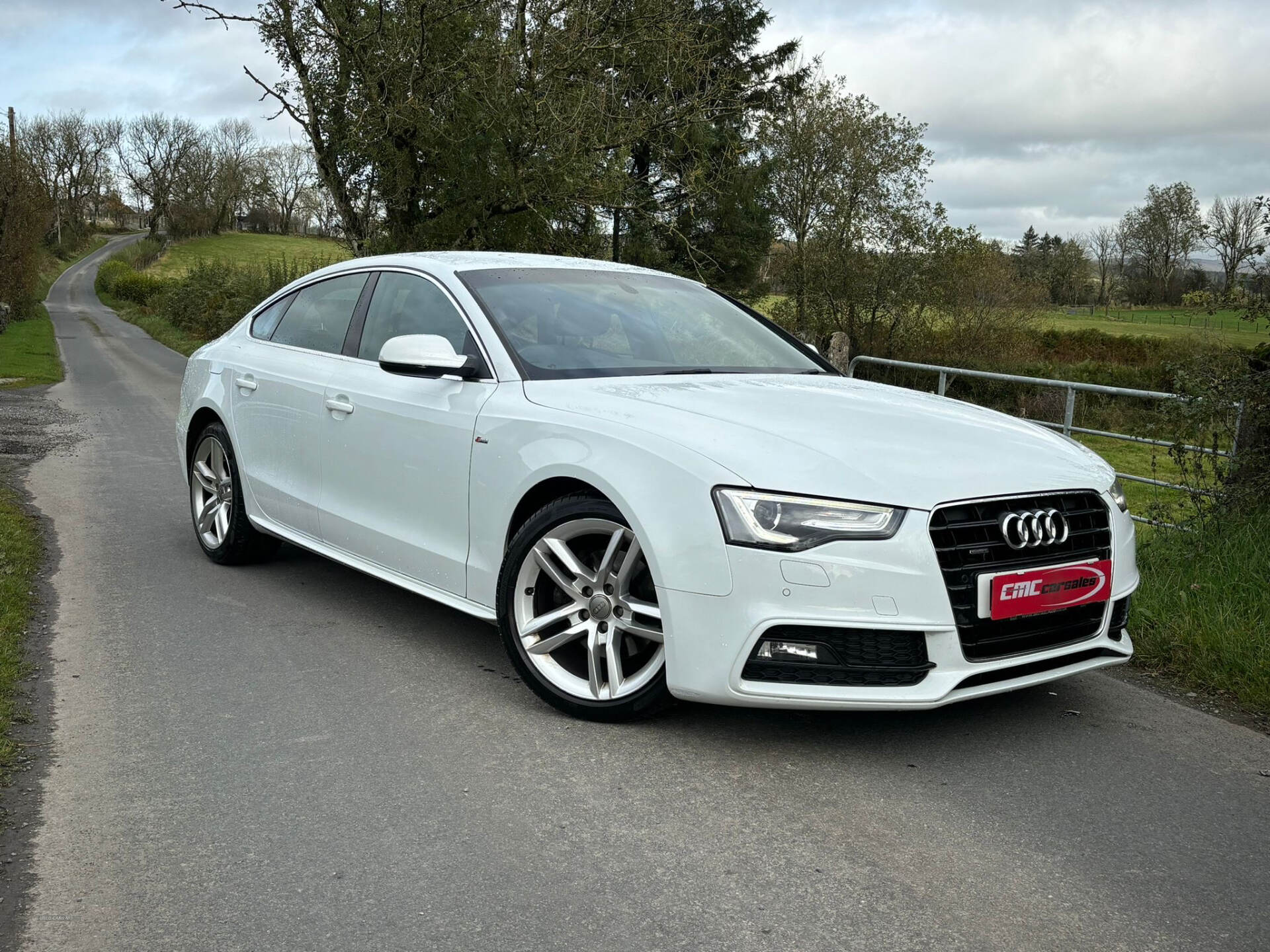 Audi A5 DIESEL SPORTBACK in Tyrone