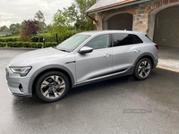 Audi E-Tron 230kW 50 Quattro 71kWh Sport 5dr Auto in Down