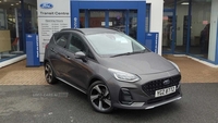 Ford Fiesta Active in Tyrone