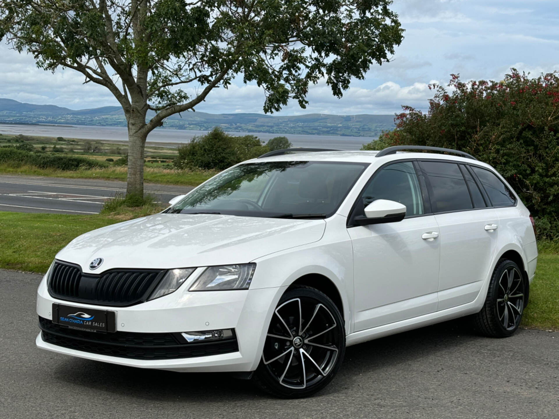 Skoda Octavia DIESEL ESTATE in Derry / Londonderry