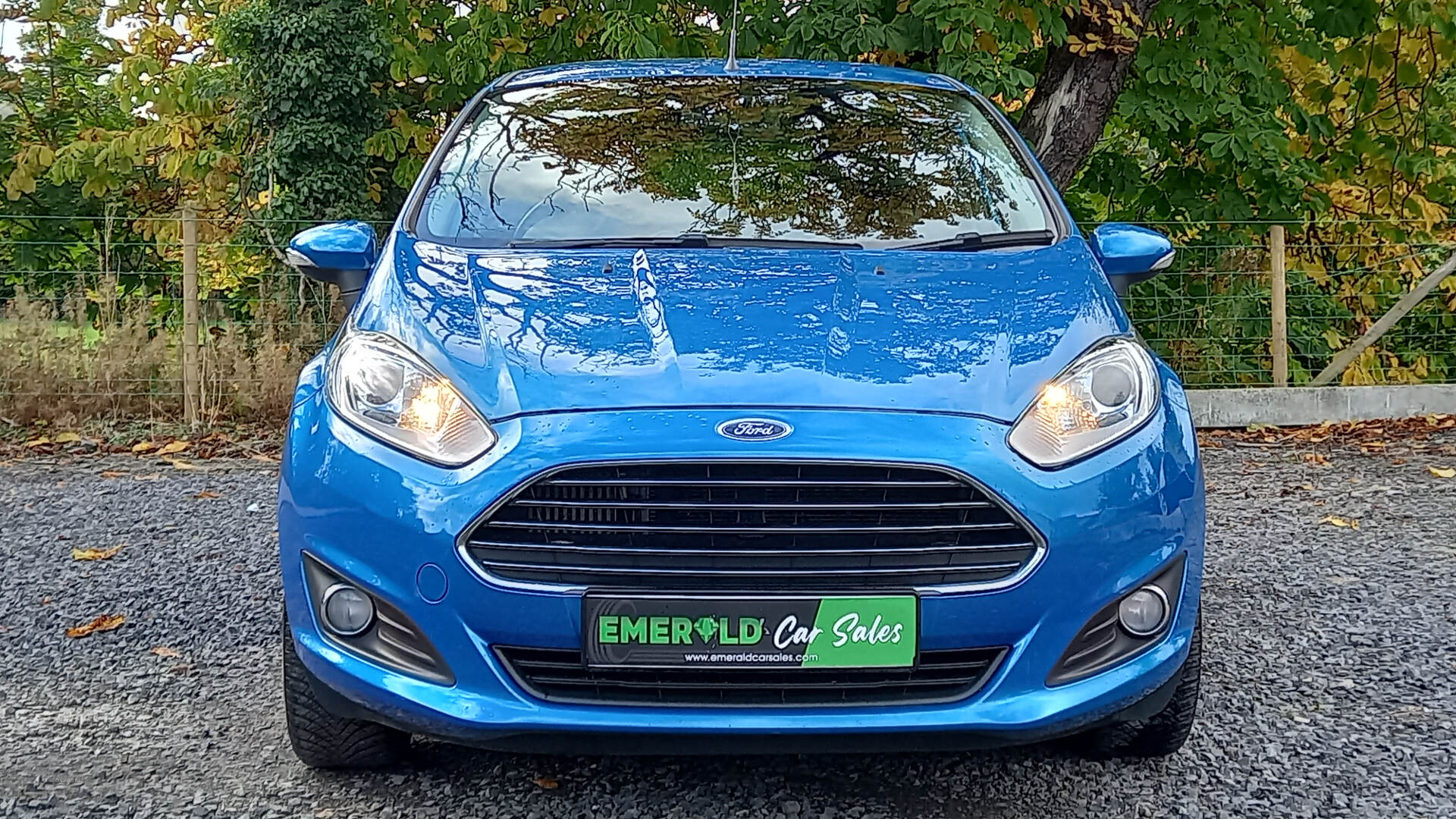 Ford Fiesta HATCHBACK in Tyrone