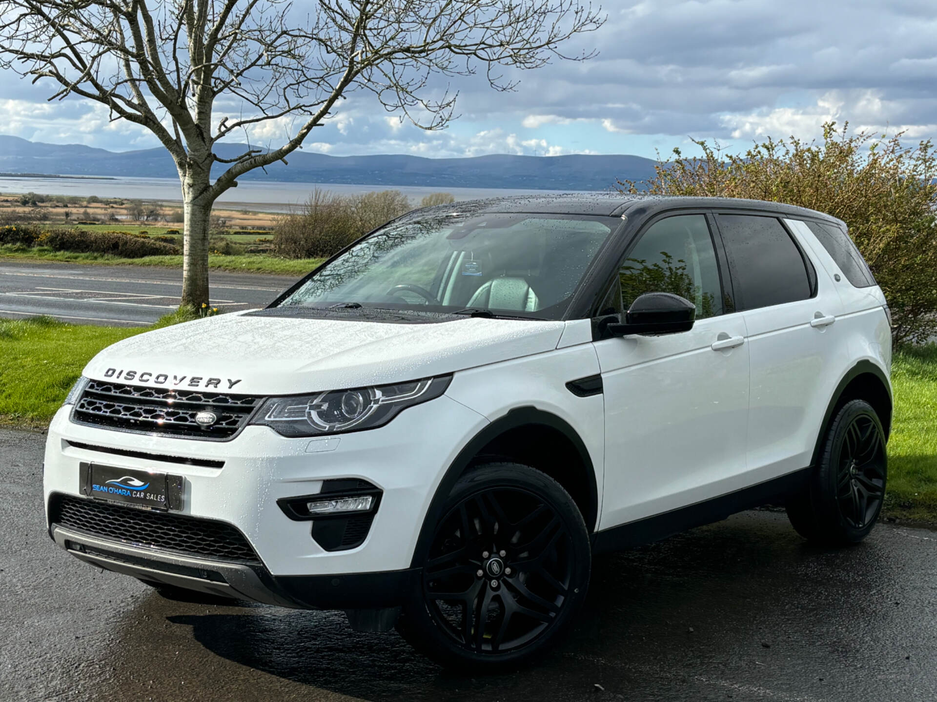 Land Rover Discovery Sport DIESEL SW in Derry / Londonderry