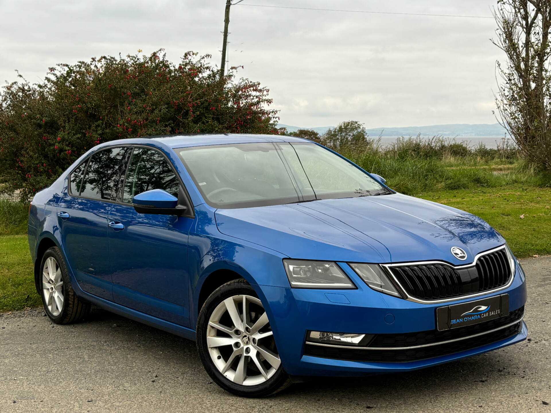 Skoda Octavia DIESEL HATCHBACK in Derry / Londonderry