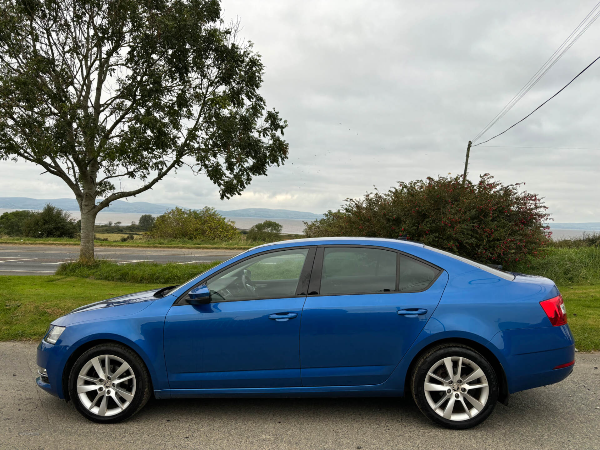 Skoda Octavia DIESEL HATCHBACK in Derry / Londonderry