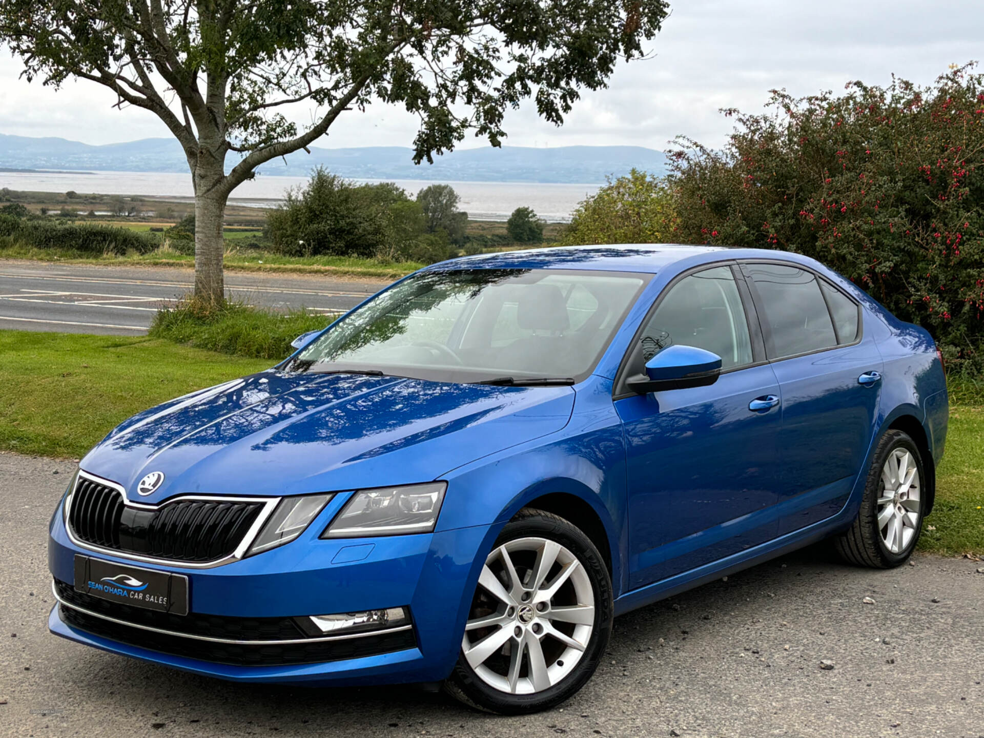 Skoda Octavia DIESEL HATCHBACK in Derry / Londonderry