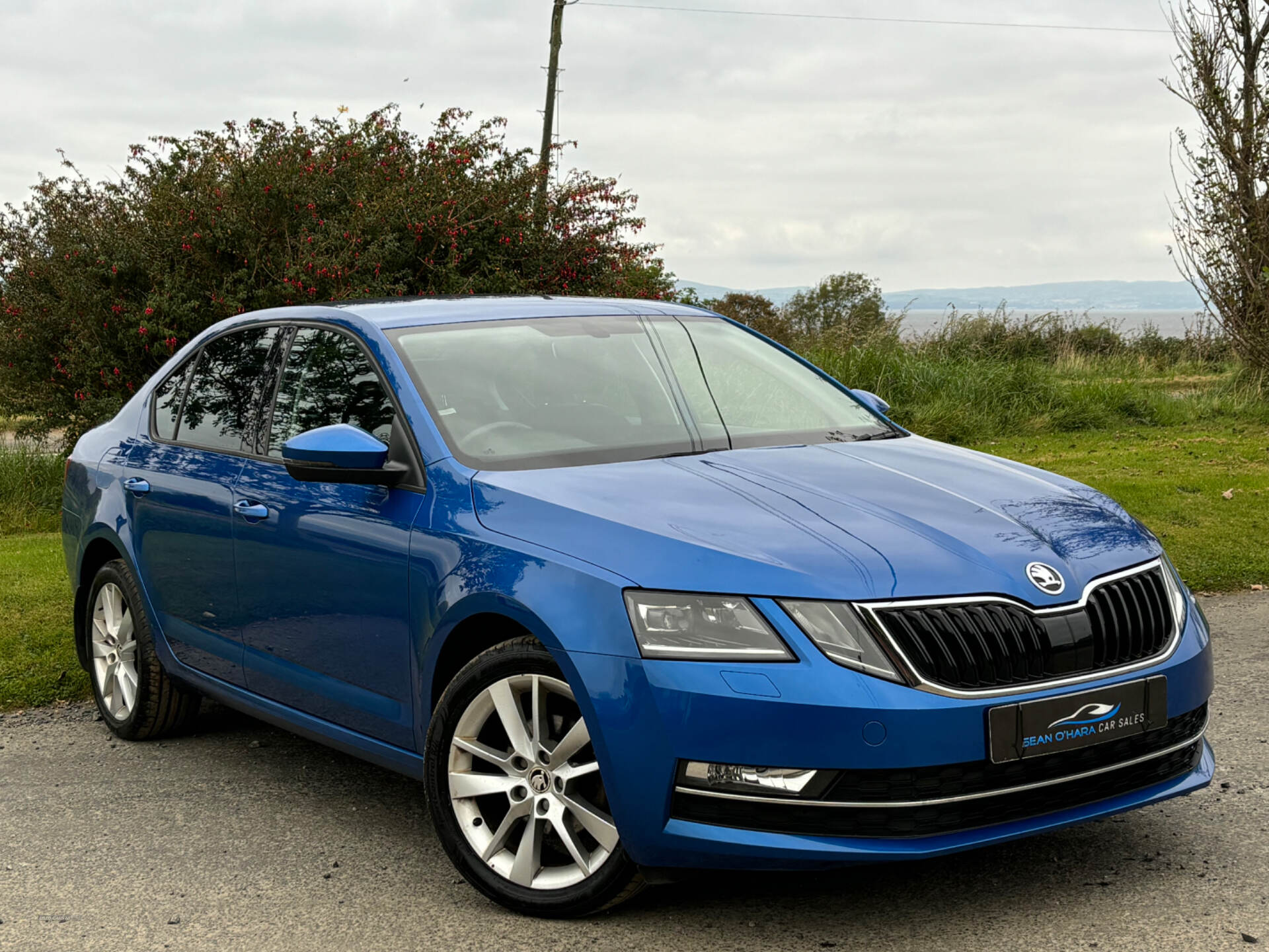 Skoda Octavia DIESEL HATCHBACK in Derry / Londonderry