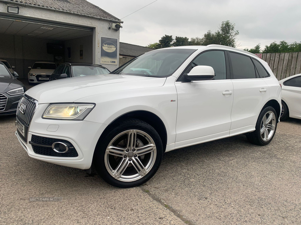 Audi Q5 ESTATE SPECIAL EDITIONS in Down