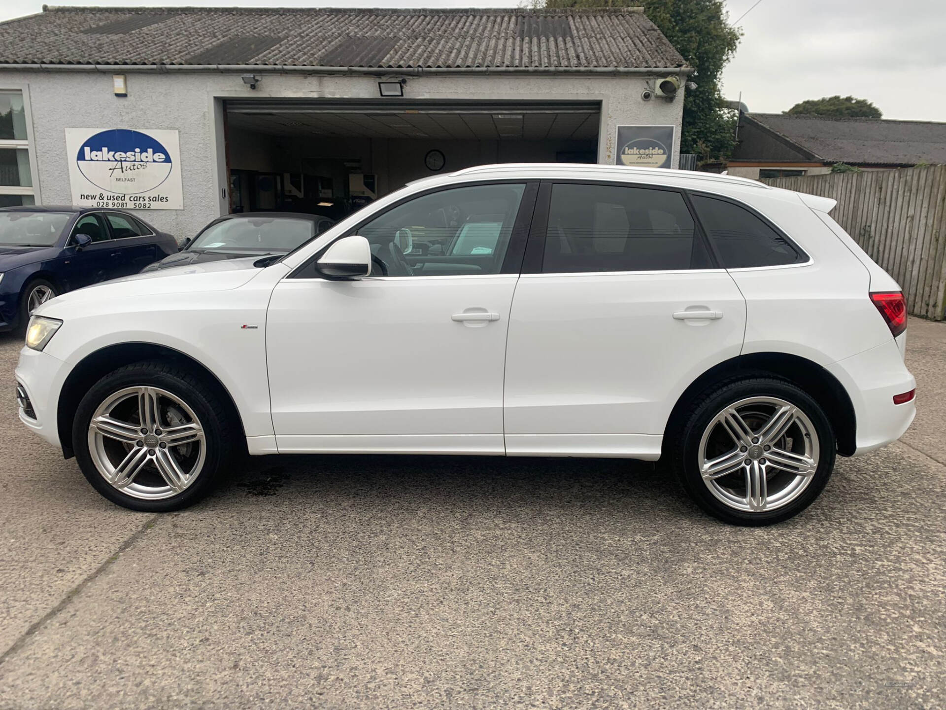 Audi Q5 ESTATE SPECIAL EDITIONS in Down