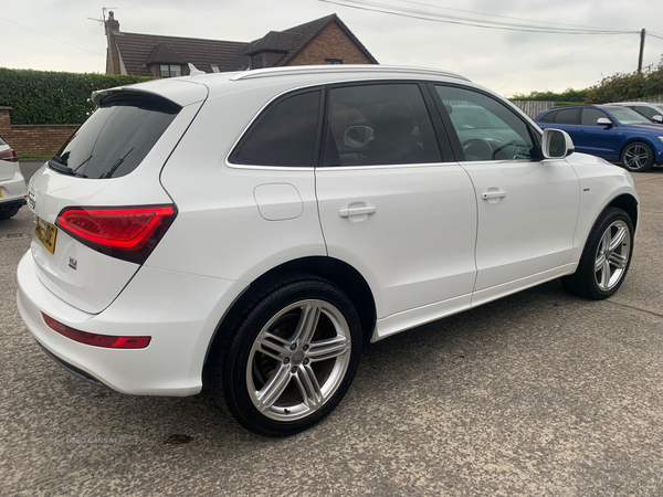 Audi Q5 ESTATE SPECIAL EDITIONS in Down