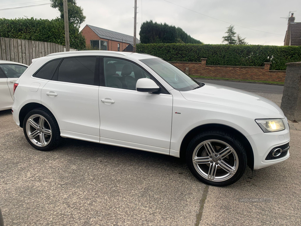 Audi Q5 ESTATE SPECIAL EDITIONS in Down