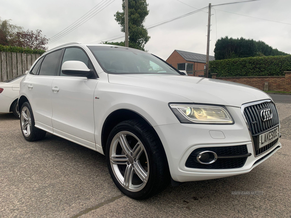 Audi Q5 ESTATE SPECIAL EDITIONS in Down