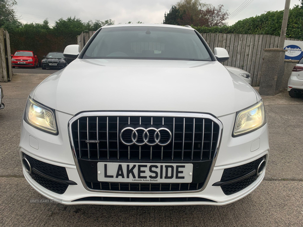 Audi Q5 ESTATE SPECIAL EDITIONS in Down