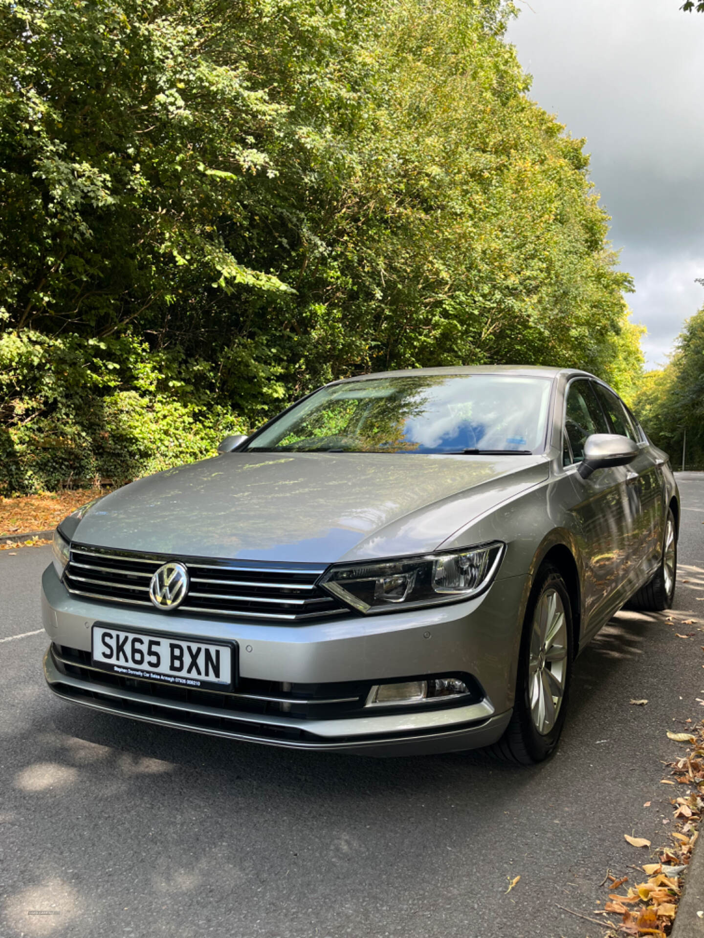 Volkswagen Passat DIESEL SALOON in Armagh