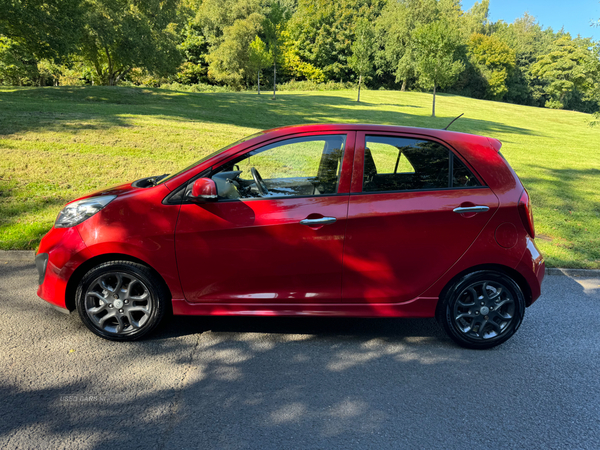 Kia Picanto HATCHBACK in Antrim