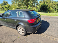 Audi A3 1.6 TDI SE 5dr in Antrim