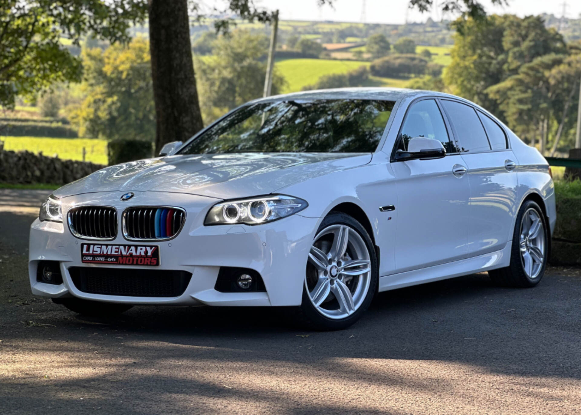 BMW 5 Series DIESEL SALOON in Antrim