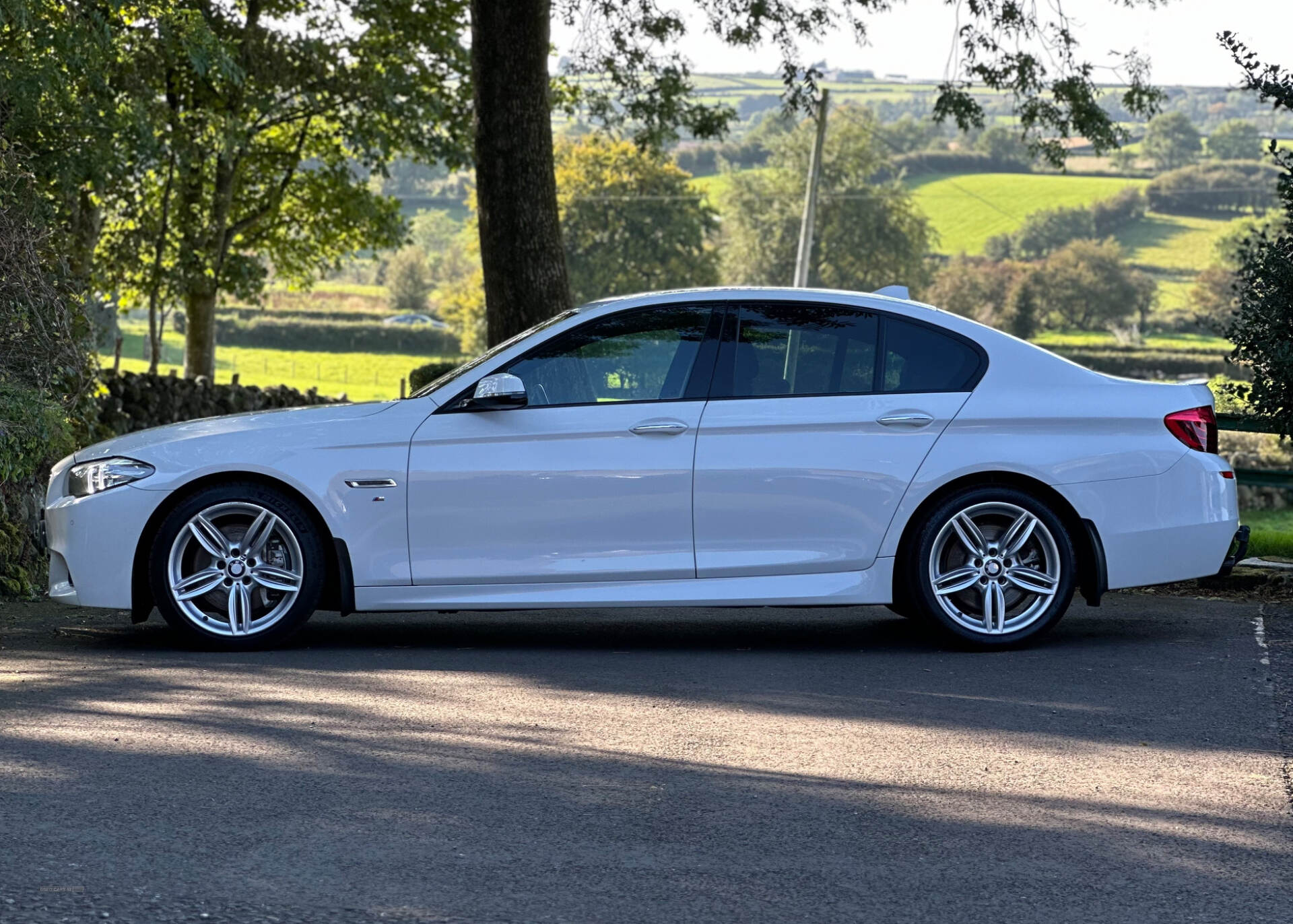 BMW 5 Series DIESEL SALOON in Antrim