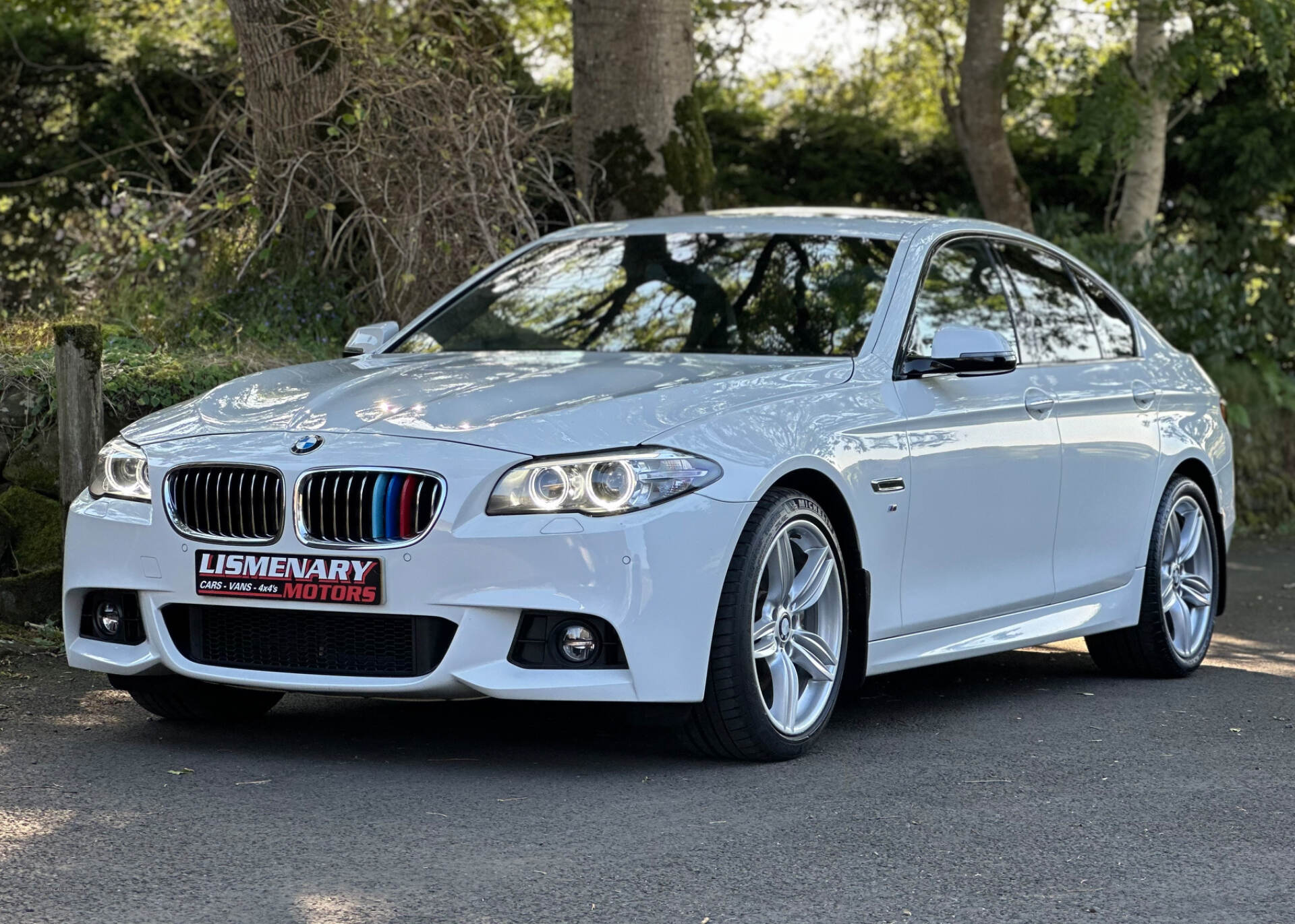 BMW 5 Series DIESEL SALOON in Antrim