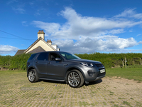 Land Rover Discovery Sport DIESEL SW in Down