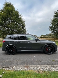 BMW X5 xDrive40d MHT M Sport 5dr Auto in Tyrone