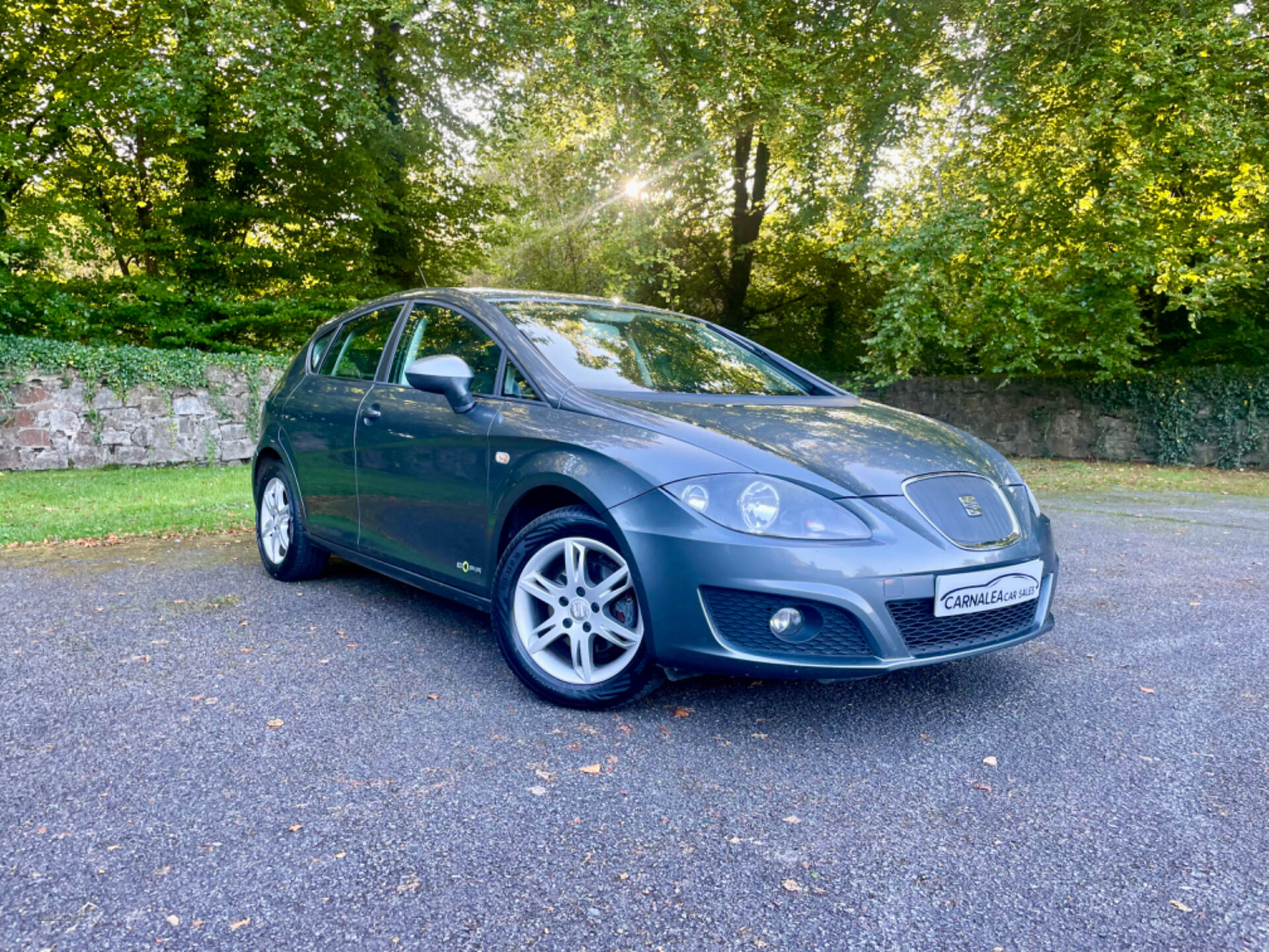 Seat Leon DIESEL HATCHBACK in Tyrone