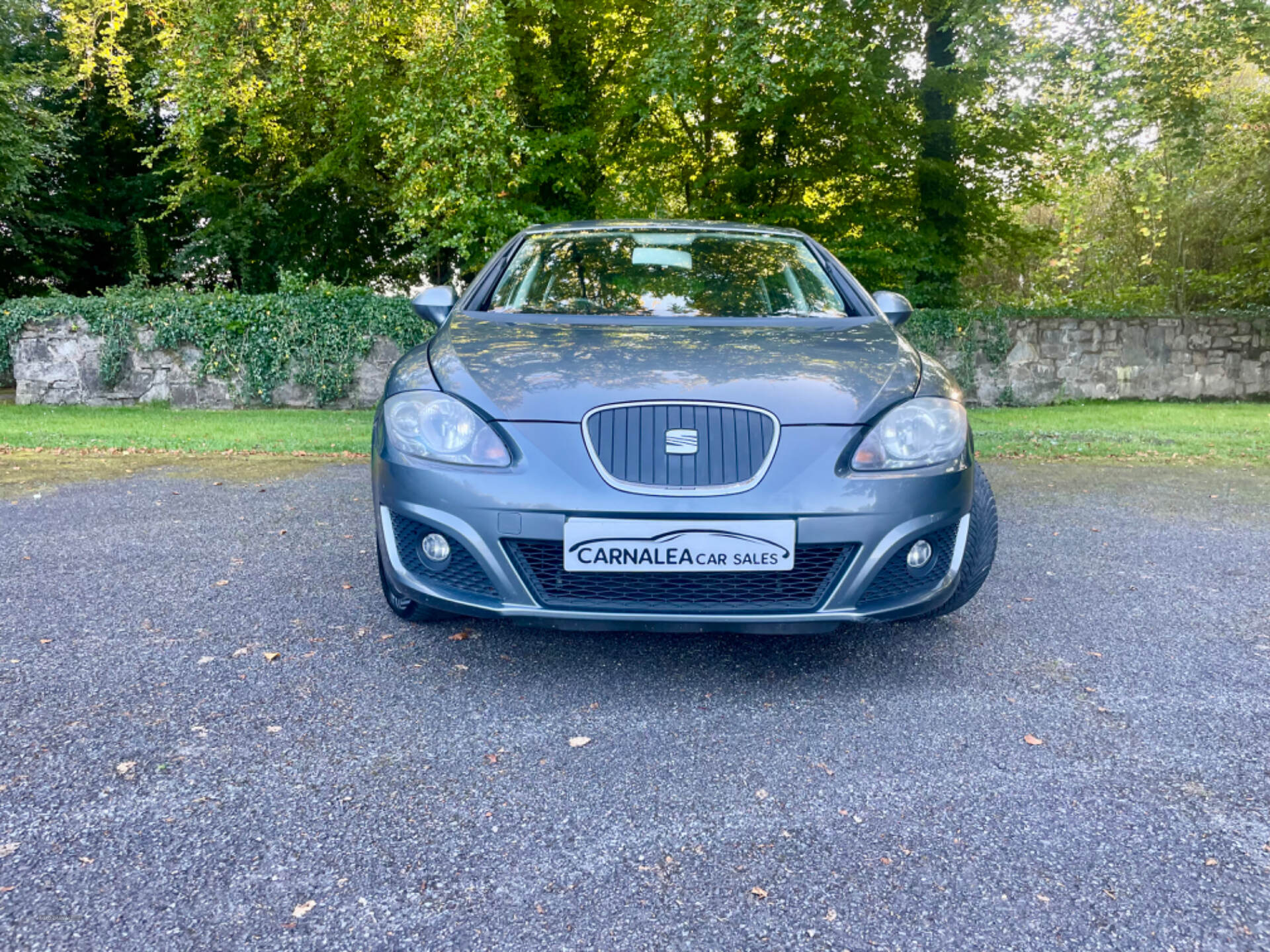 Seat Leon DIESEL HATCHBACK in Tyrone