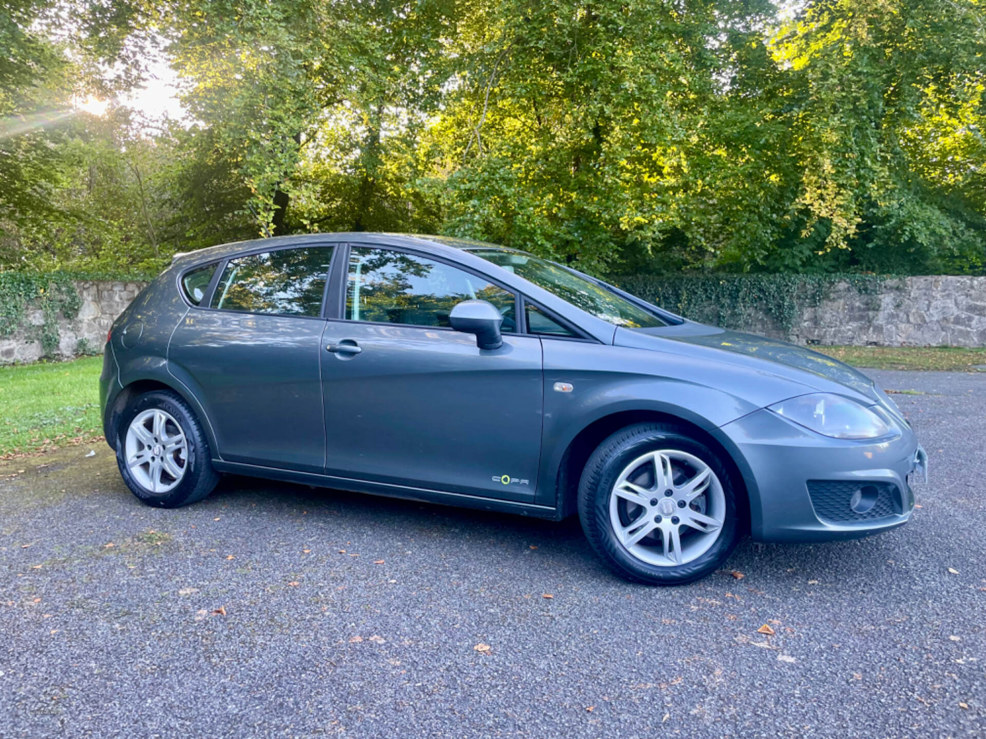 Seat Leon DIESEL HATCHBACK in Tyrone