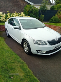 Skoda Octavia 1.6 TDI CR 110 SE 5dr in Antrim