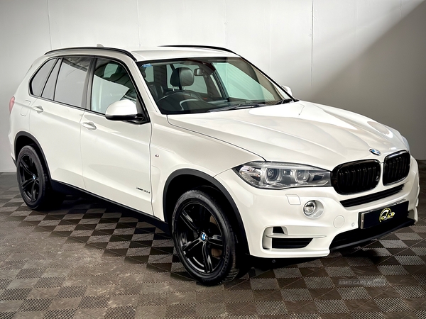 BMW X5 DIESEL ESTATE in Tyrone