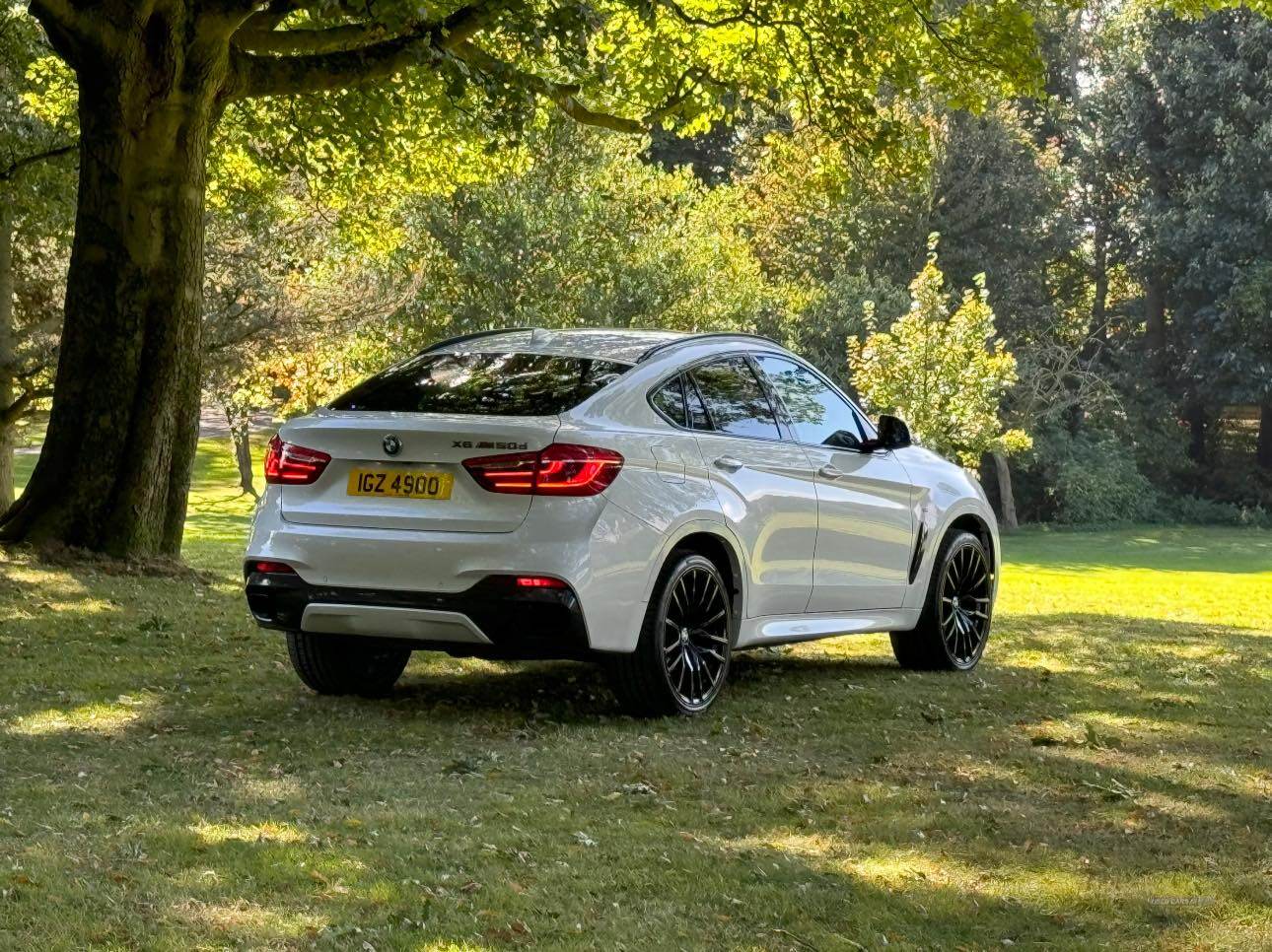 BMW X6 DIESEL ESTATE in Armagh