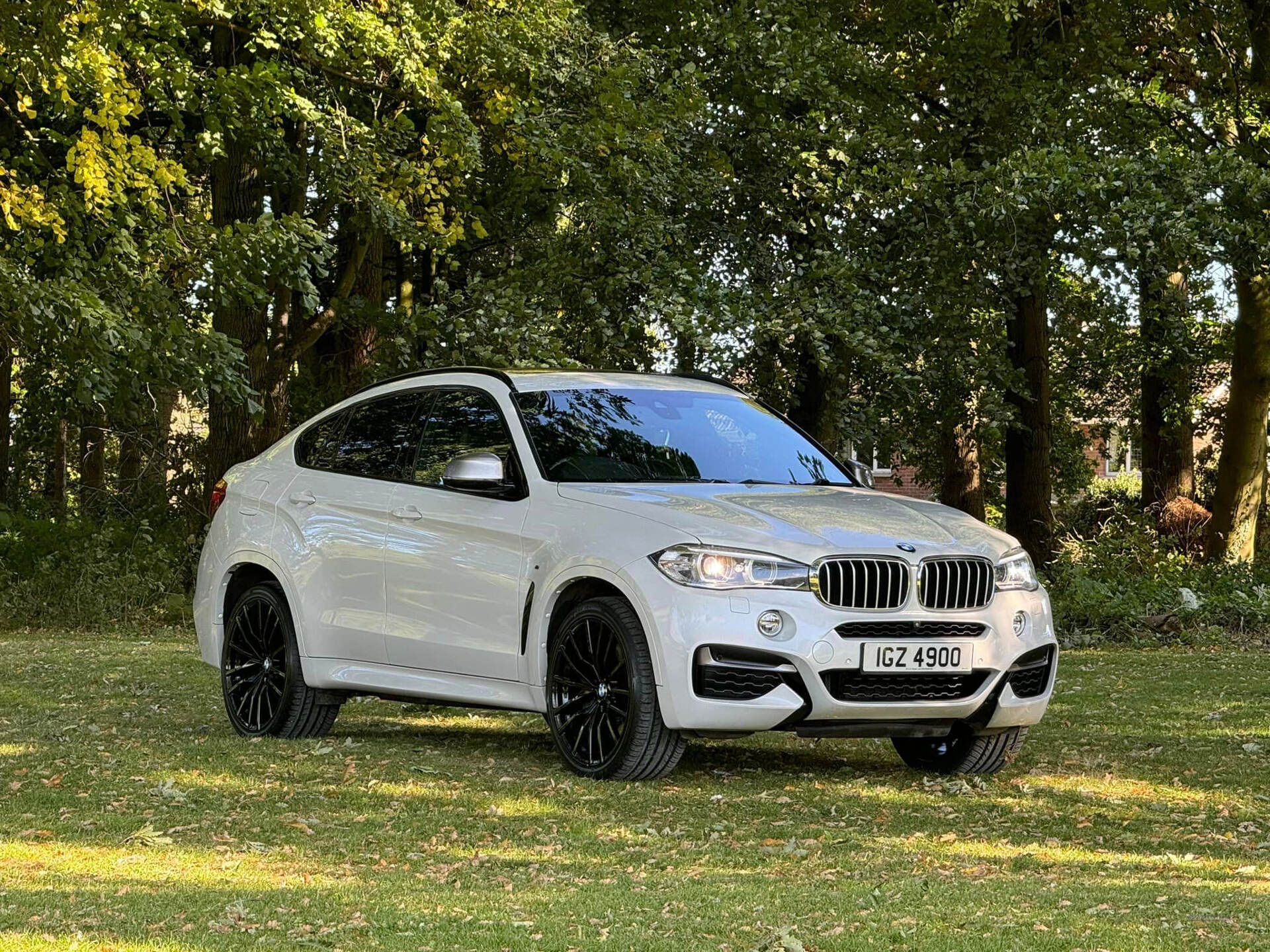 BMW X6 DIESEL ESTATE in Armagh