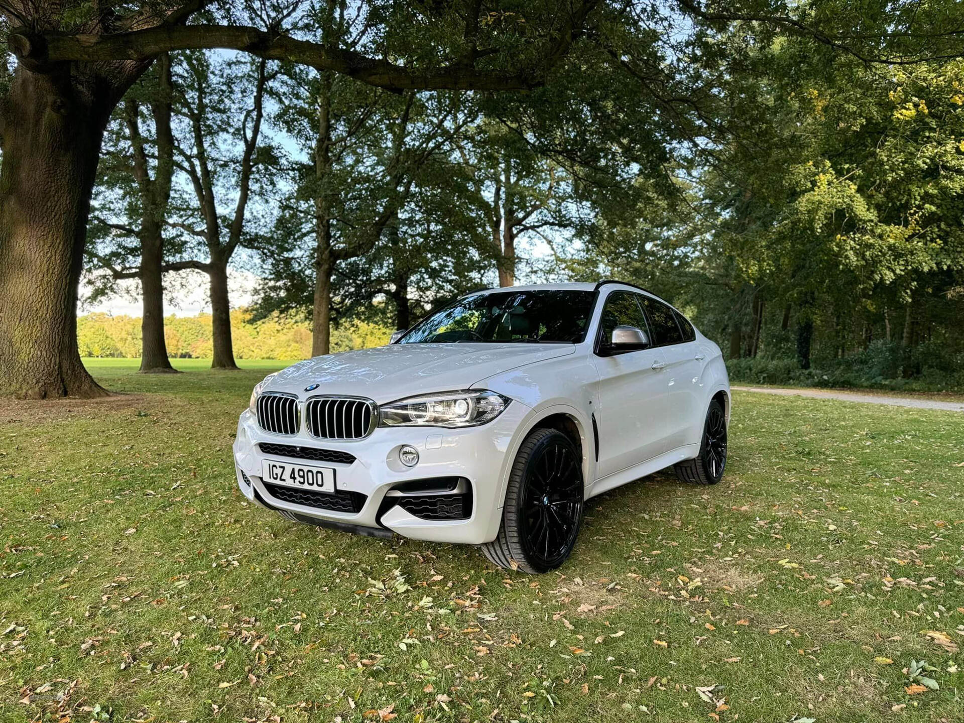 BMW X6 DIESEL ESTATE in Armagh