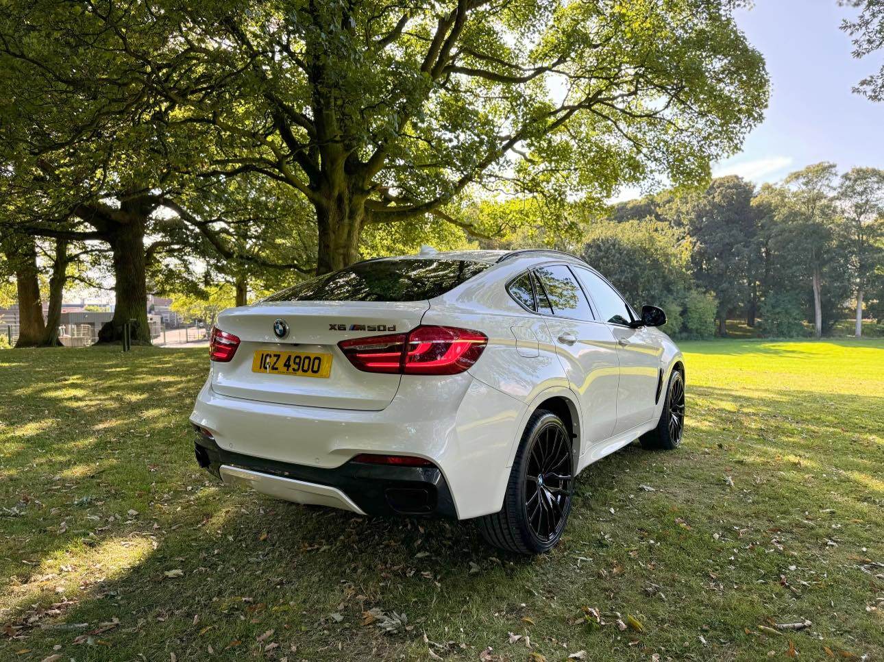 BMW X6 DIESEL ESTATE in Armagh