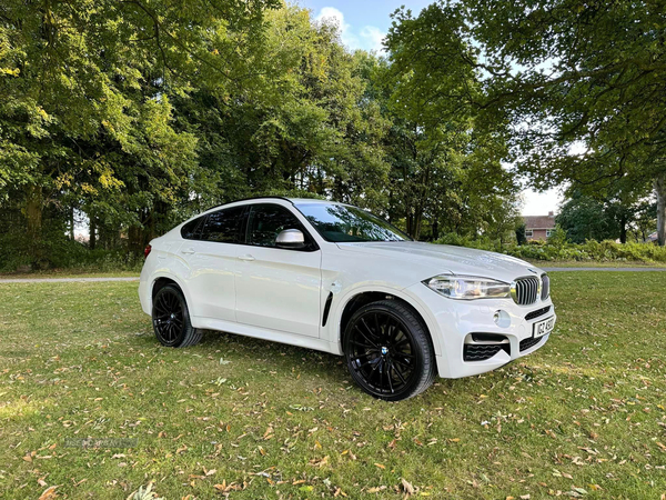 BMW X6 DIESEL ESTATE in Armagh