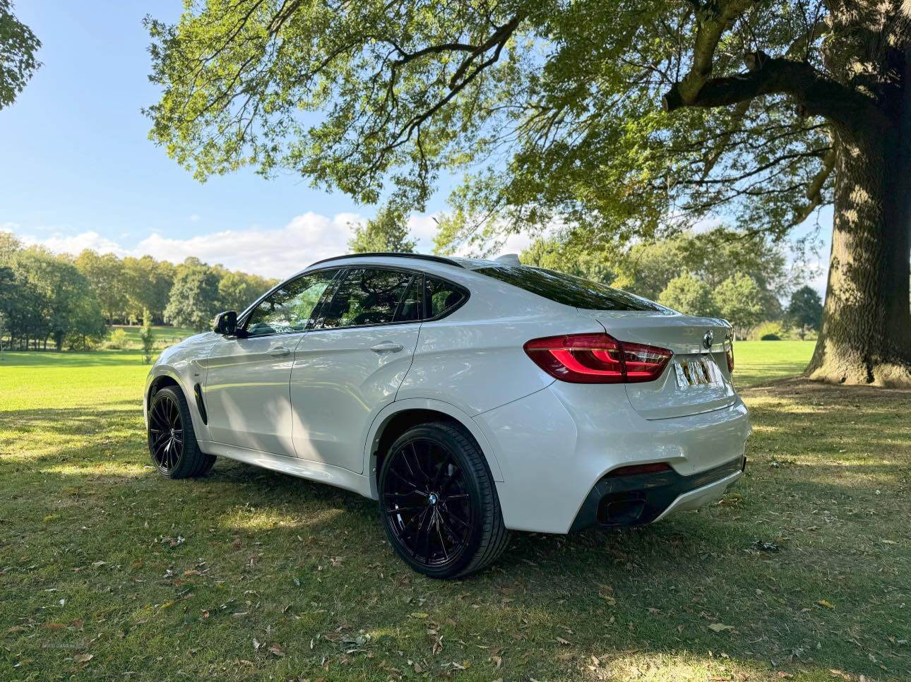 BMW X6 DIESEL ESTATE in Armagh